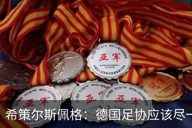 希策尔斯佩格：德国足协应该尽一切努力，让特雷索尔迪选德国