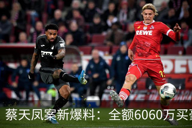 蔡天凤案新爆料：全额6060万买豪宅，邝球回扣拿697万，一事可疑