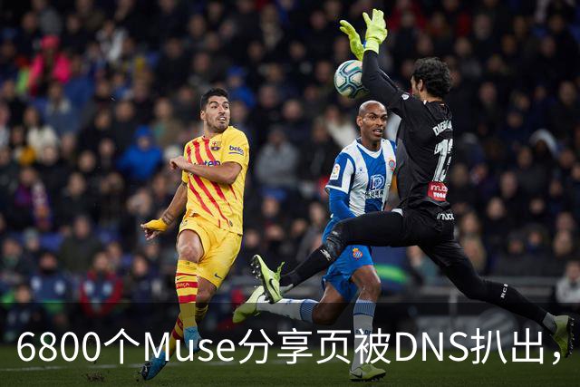 6800个Muse分享页被DNS扒出，Meta紧急暂停